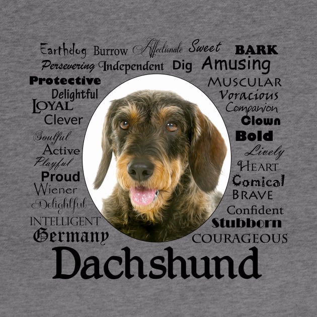 Wirehaired Dachshund by You Had Me At Woof